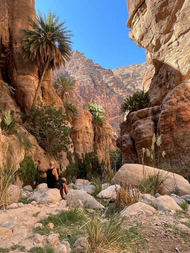 Al-Nawatef Eco Camp- Dana Nature Reserve المظهر الخارجي الصورة