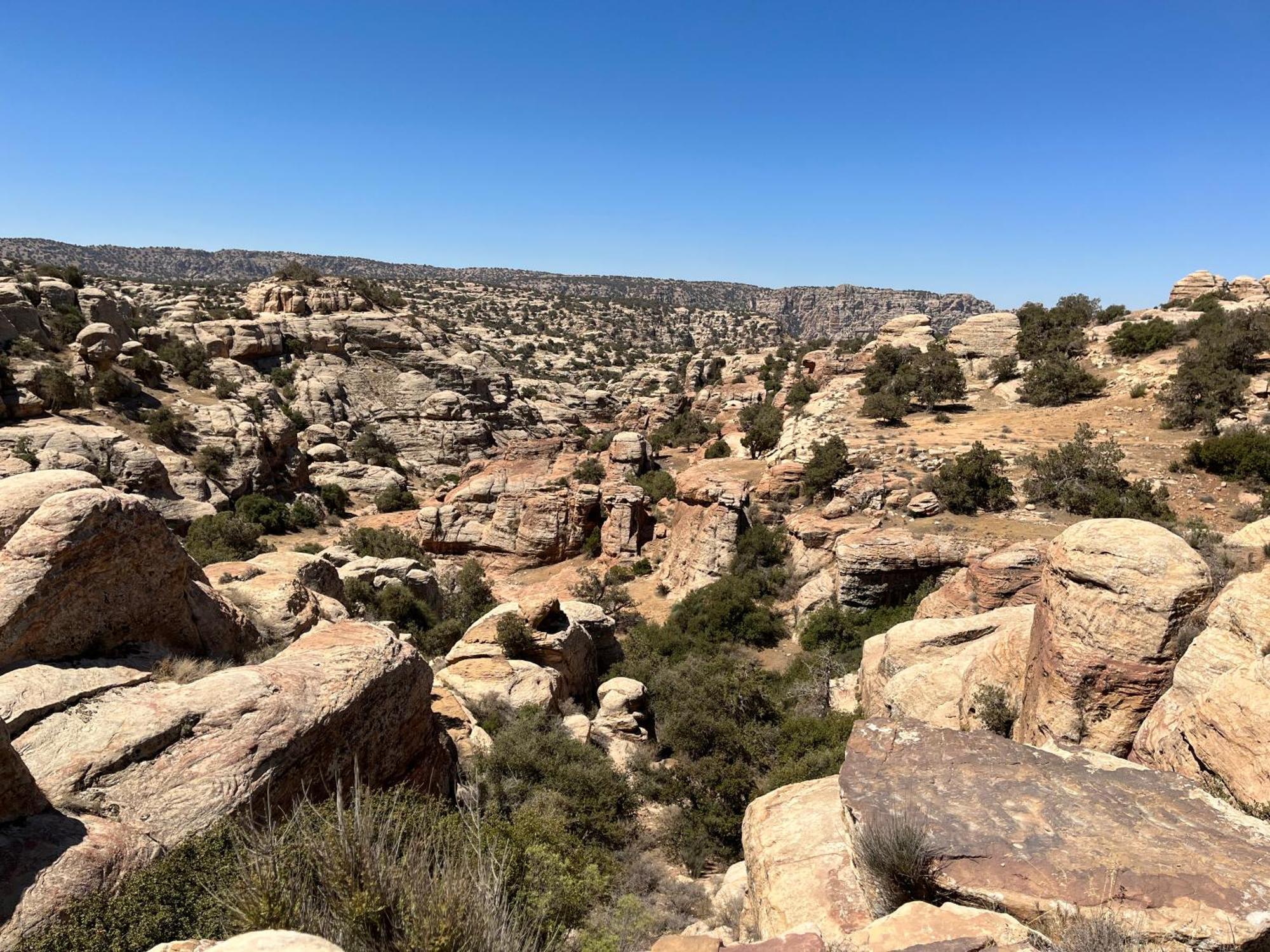 Al-Nawatef Eco Camp- Dana Nature Reserve المظهر الخارجي الصورة