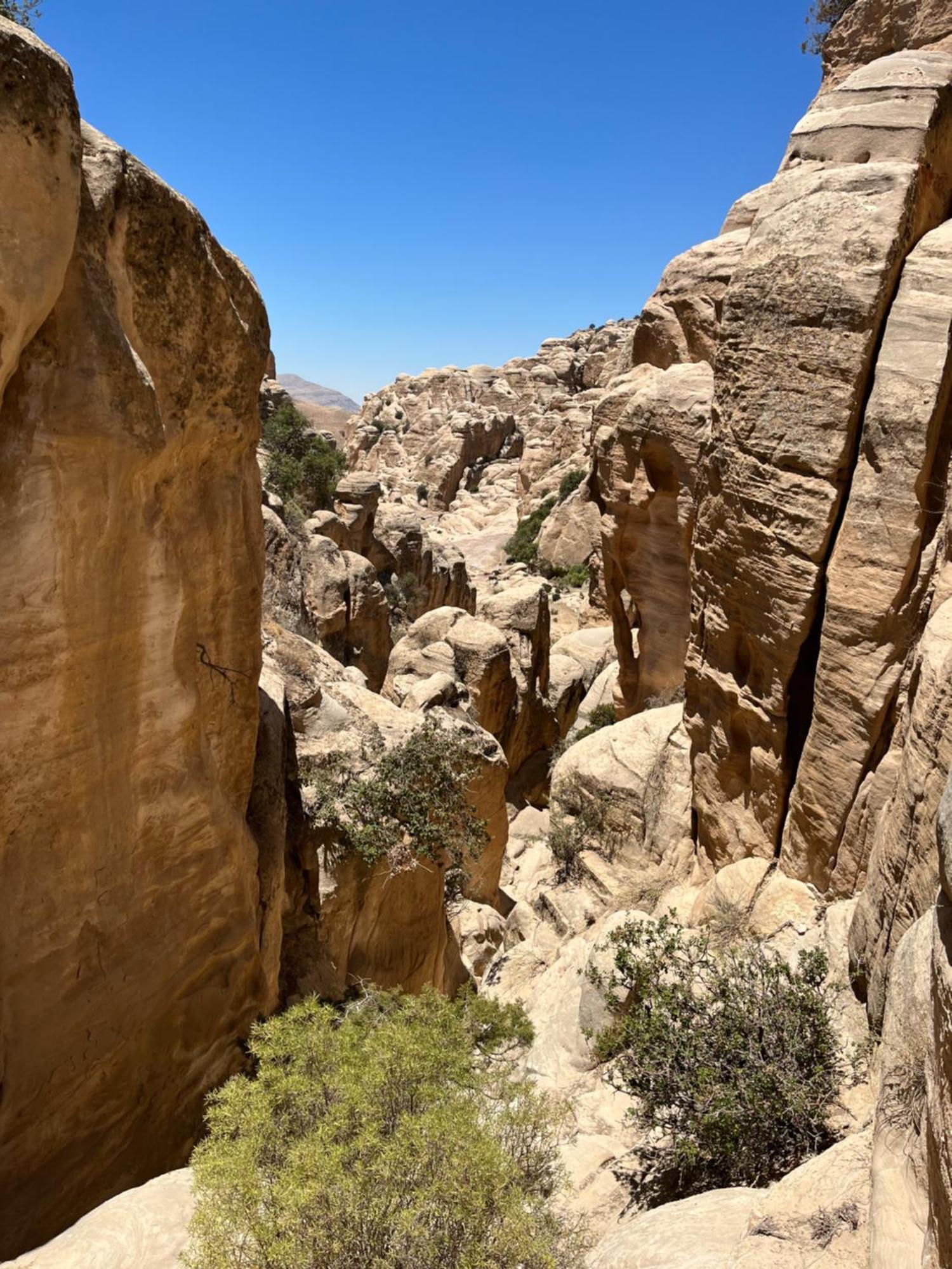Al-Nawatef Eco Camp- Dana Nature Reserve المظهر الخارجي الصورة