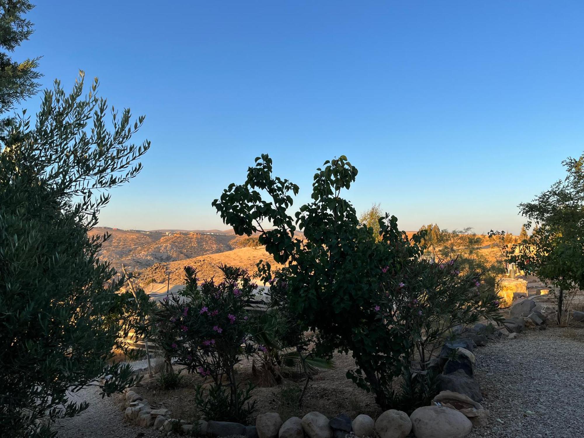Al-Nawatef Eco Camp- Dana Nature Reserve المظهر الخارجي الصورة
