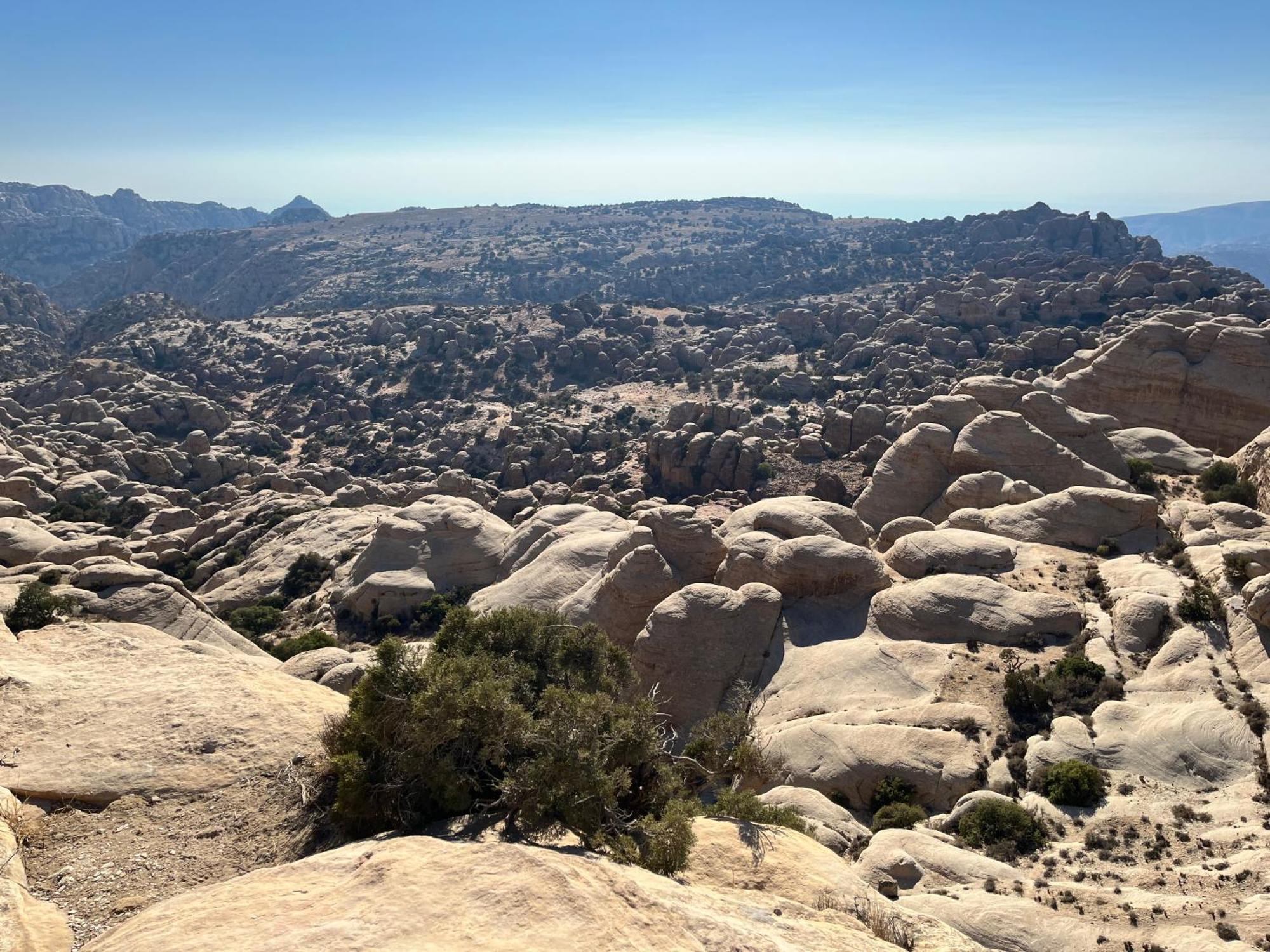 Al-Nawatef Eco Camp- Dana Nature Reserve المظهر الخارجي الصورة