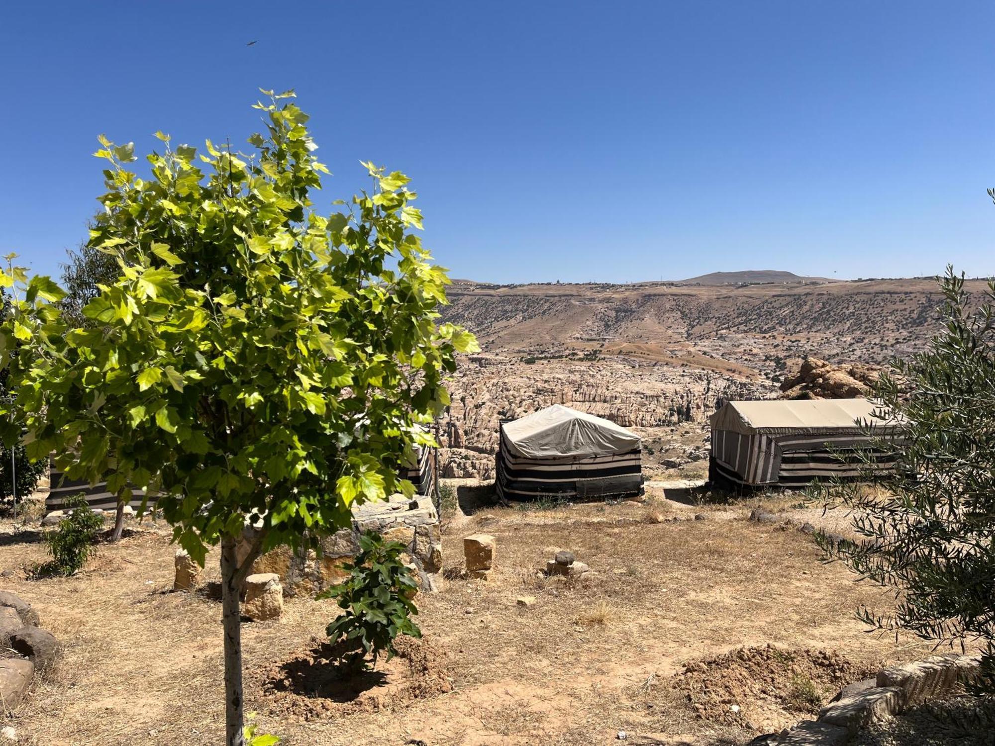 Al-Nawatef Eco Camp- Dana Nature Reserve المظهر الخارجي الصورة