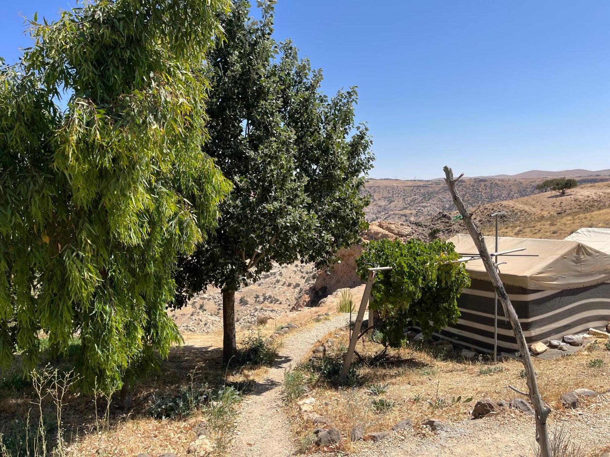 Al-Nawatef Eco Camp- Dana Nature Reserve المظهر الخارجي الصورة